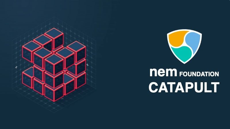 Lanzamos junto a la Fundación NEM el curso oficial en certificación Catapult