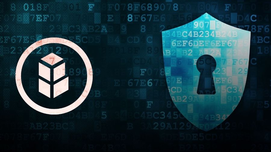 Historia de TheDAO Project y sus implicaciones.